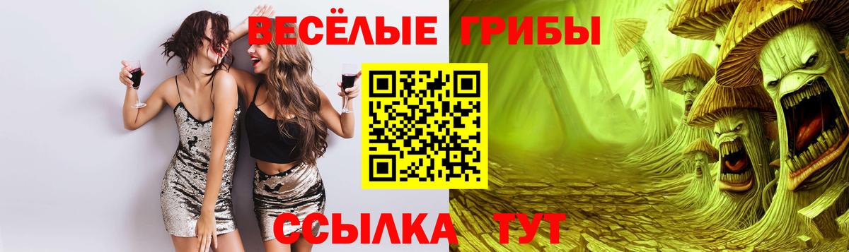 Ставрополь  Псилоцибиновые грибы Psilocybine cubensis  Псилоцибиновые грибы Magic Shrooms  Вход с VPN 